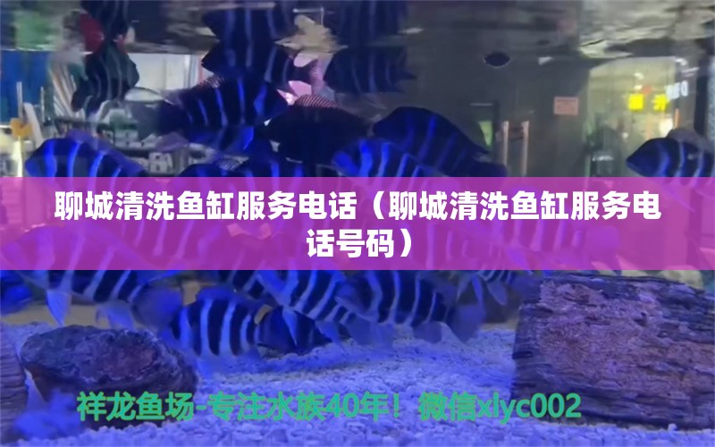 聊城清洗魚缸服務(wù)電話（聊城清洗魚缸服務(wù)電話號碼）