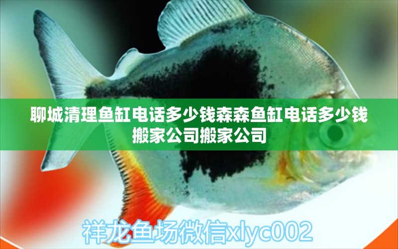 聊城清理魚缸電話多少錢森森魚缸電話多少錢搬家公司搬家公司 養(yǎng)魚知識