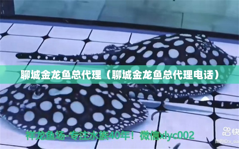 聊城金龍魚總代理（聊城金龍魚總代理電話）