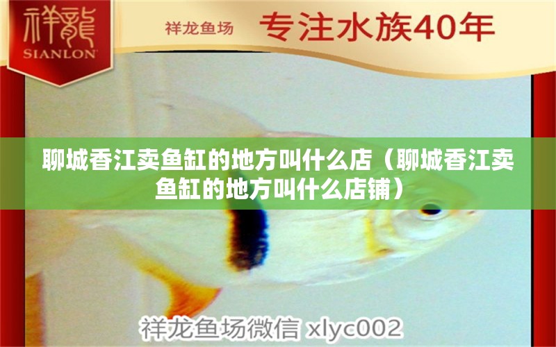 聊城香江賣魚缸的地方叫什么店（聊城香江賣魚缸的地方叫什么店鋪） 哥倫比亞巨暴魚苗