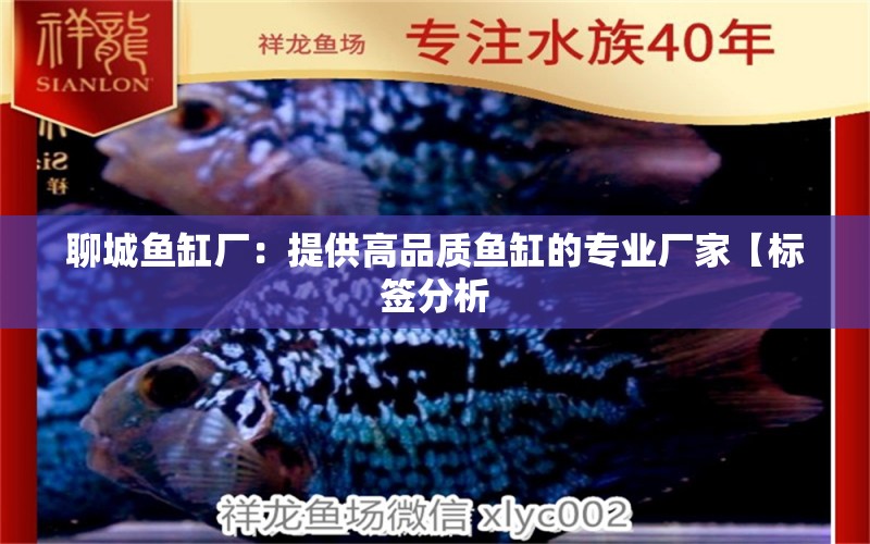 聊城魚缸廠：提供高品質(zhì)魚缸的專業(yè)廠家【標簽分析