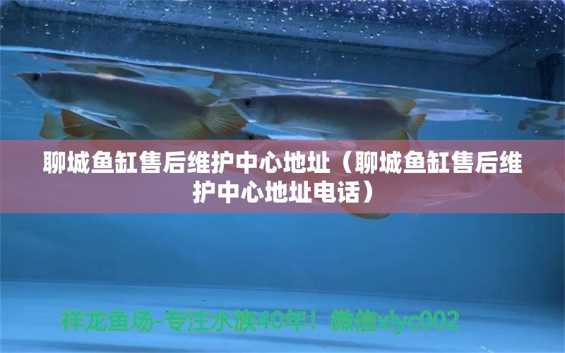 聊城魚缸售后維護(hù)中心地址（聊城魚缸售后維護(hù)中心地址電話）