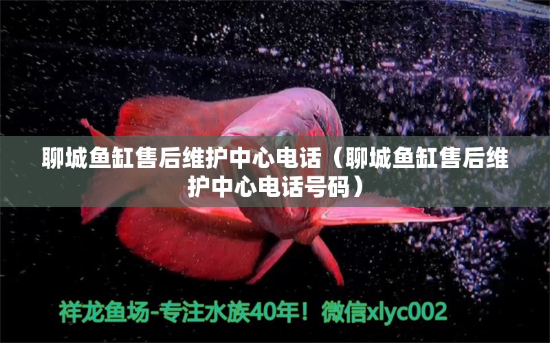 聊城魚缸售后維護中心電話（聊城魚缸售后維護中心電話號碼）