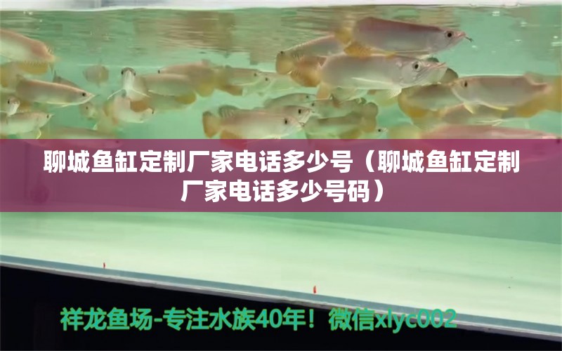 聊城魚(yú)缸定制廠(chǎng)家電話(huà)多少號(hào)（聊城魚(yú)缸定制廠(chǎng)家電話(huà)多少號(hào)碼） 印尼小紅龍