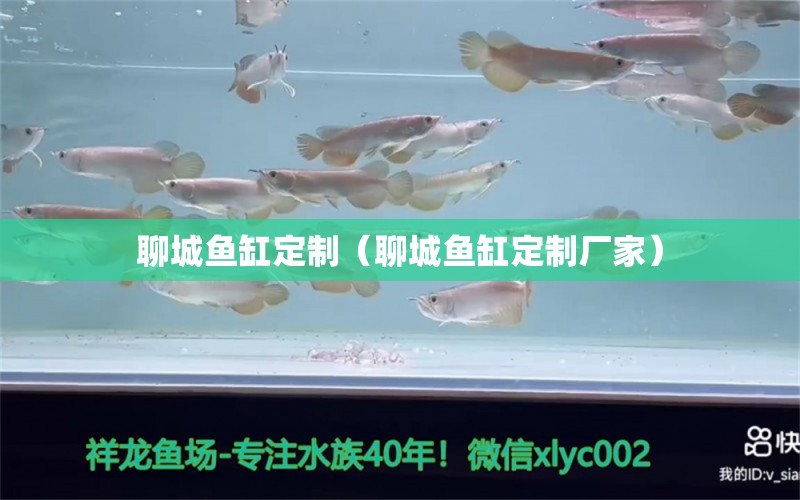 聊城魚缸定制（聊城魚缸定制廠家） 其他品牌魚缸