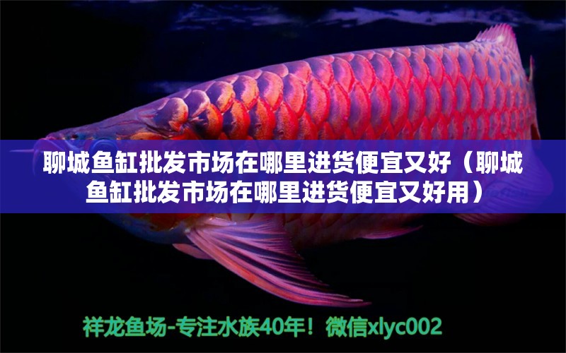 聊城魚(yú)缸批發(fā)市場(chǎng)在哪里進(jìn)貨便宜又好（聊城魚(yú)缸批發(fā)市場(chǎng)在哪里進(jìn)貨便宜又好用）