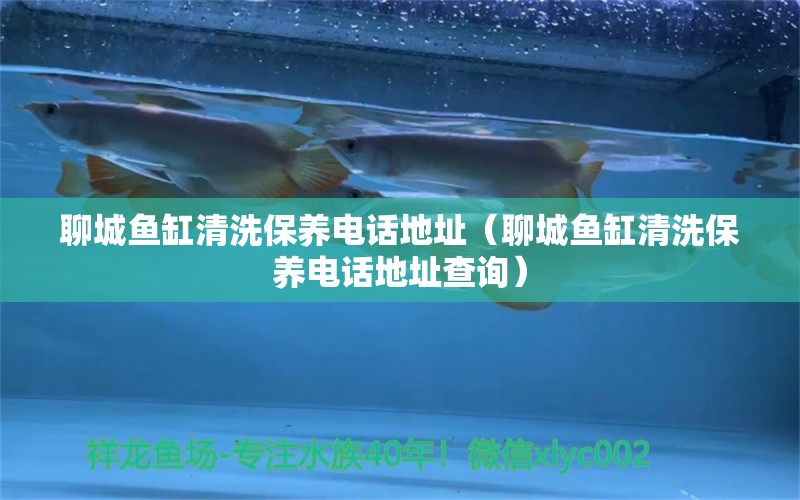 聊城魚缸清洗保養(yǎng)電話地址（聊城魚缸清洗保養(yǎng)電話地址查詢） 其他品牌魚缸