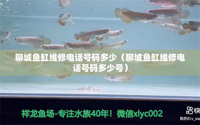 聊城魚缸維修電話號碼多少（聊城魚缸維修電話號碼多少號） 觀賞魚市場（混養(yǎng)魚）