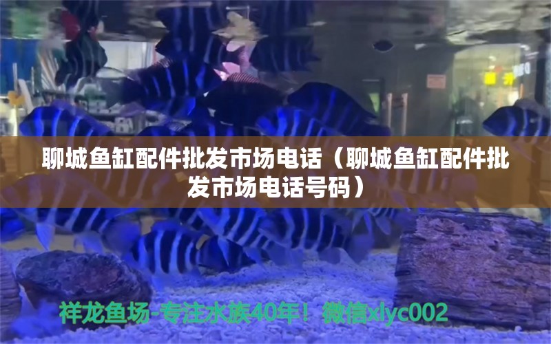 聊城魚缸配件批發(fā)市場電話（聊城魚缸配件批發(fā)市場電話號(hào)碼）