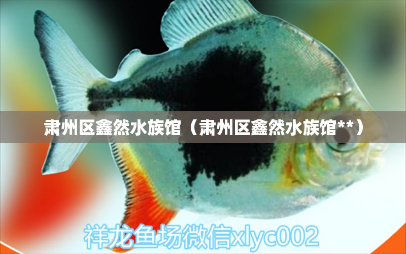 肅州區(qū)鑫然水族館（肅州區(qū)鑫然水族館**）