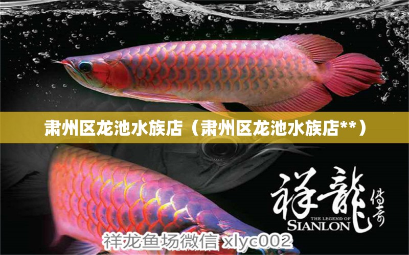 肅州區(qū)龍池水族店（肅州區(qū)龍池水族店**） 全國水族館企業(yè)名錄