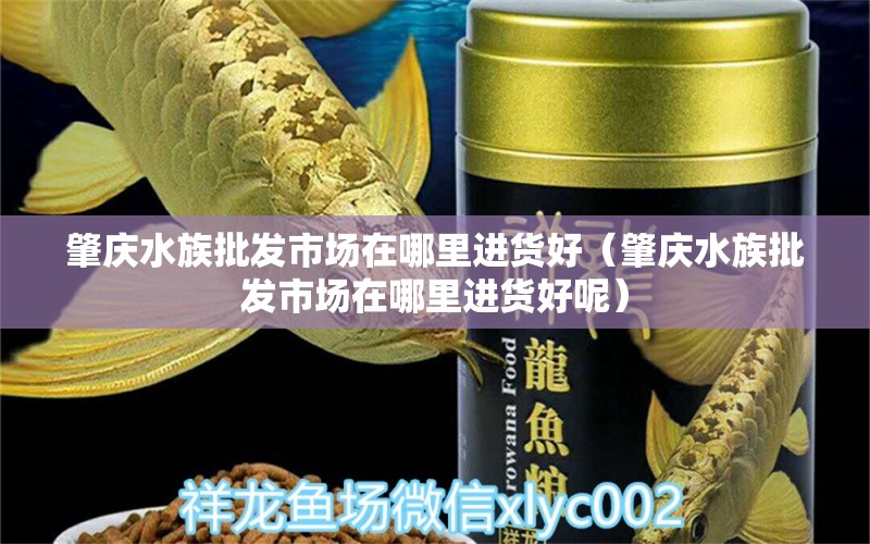 肇慶水族批發(fā)市場在哪里進(jìn)貨好（肇慶水族批發(fā)市場在哪里進(jìn)貨好呢）