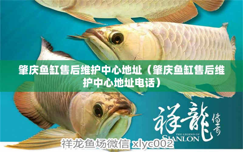 肇慶魚缸售后維護(hù)中心地址（肇慶魚缸售后維護(hù)中心地址電話）