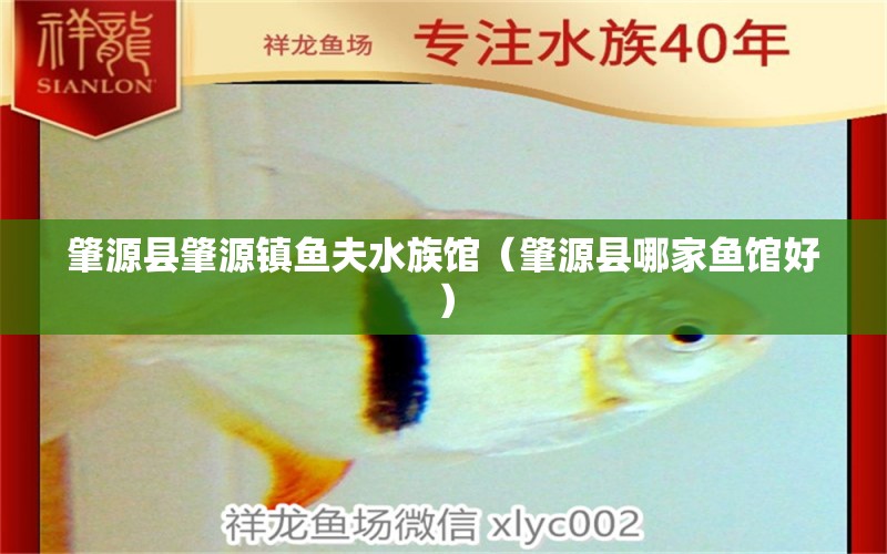 肇源縣肇源鎮(zhèn)魚(yú)夫水族館（肇源縣哪家魚(yú)館好）