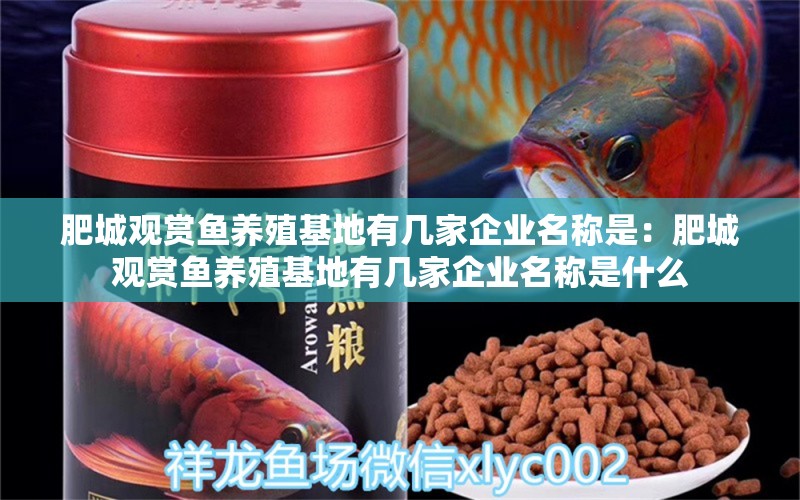 肥城觀賞魚養(yǎng)殖基地有幾家企業(yè)名稱是：肥城觀賞魚養(yǎng)殖基地有幾家企業(yè)名稱是什么