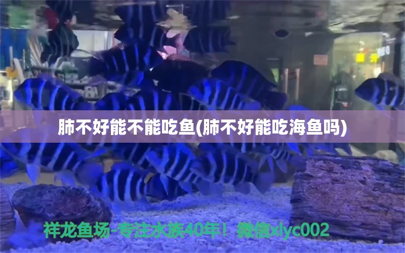 肺不好能不能吃魚(肺不好能吃海魚嗎) 龍魚批發(fā) 第1張