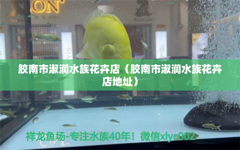 膠南市淑潤水族花卉店（膠南市淑潤水族花卉店地址） 全國水族館企業(yè)名錄