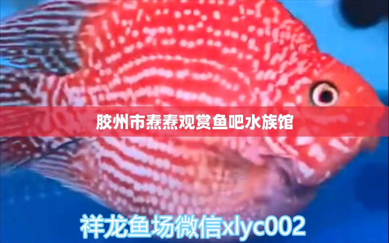 膠州市燾燾觀賞魚吧水族館