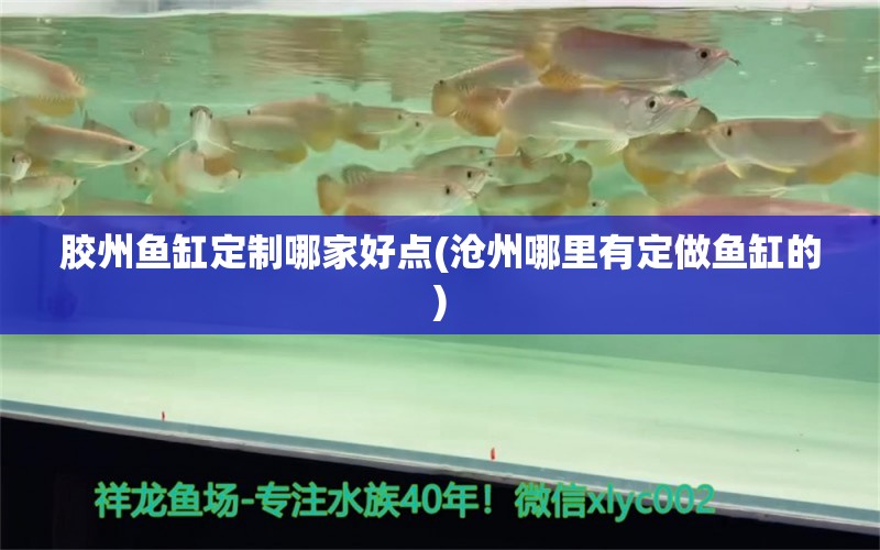 膠州魚缸定制哪家好點(diǎn)(滄州哪里有定做魚缸的)