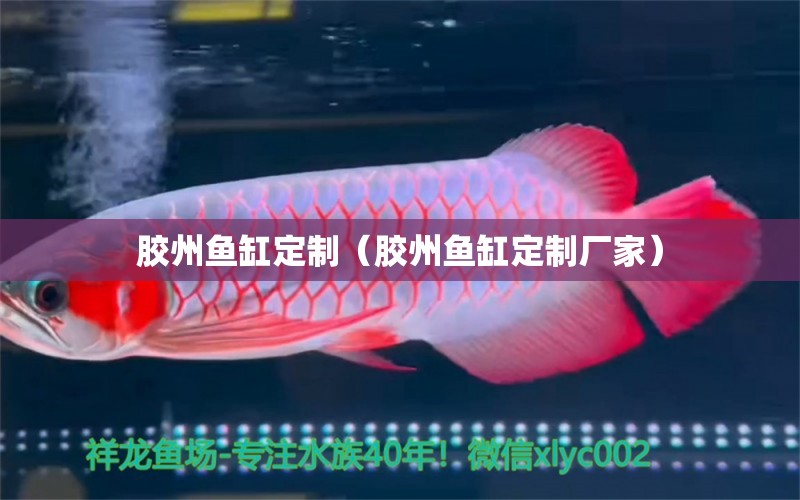 膠州魚(yú)缸定制（膠州魚(yú)缸定制廠家）