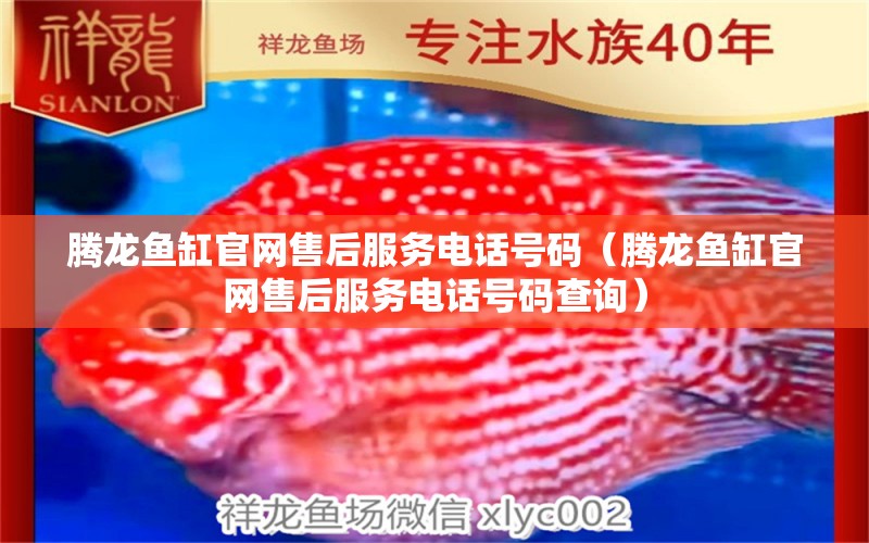 騰龍魚(yú)缸官網(wǎng)售后服務(wù)電話(huà)號(hào)碼（騰龍魚(yú)缸官網(wǎng)售后服務(wù)電話(huà)號(hào)碼查詢(xún)）