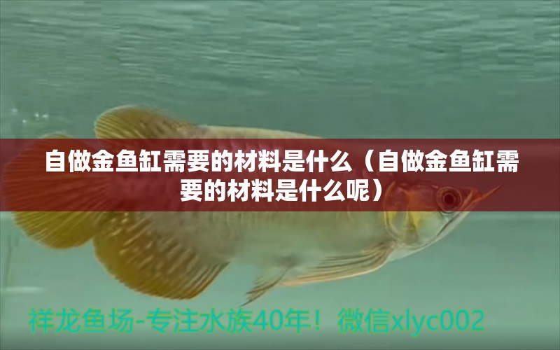 自做金魚缸需要的材料是什么（自做金魚缸需要的材料是什么呢） 祥龍水族醫(yī)院