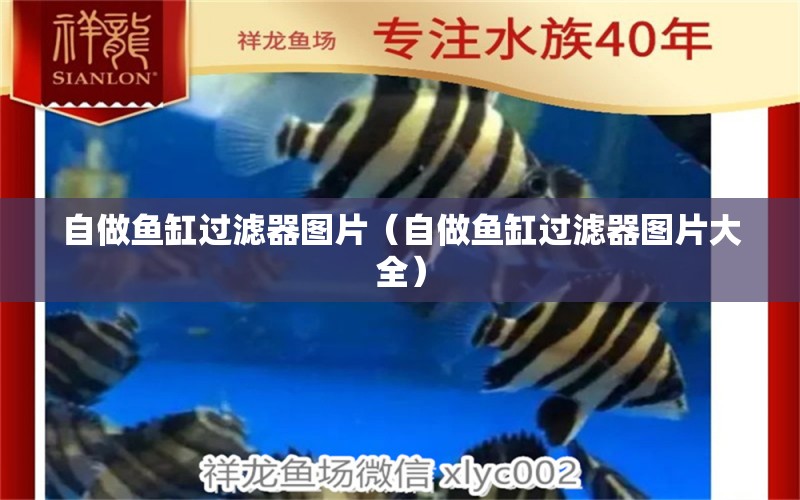 自做魚缸過濾器圖片（自做魚缸過濾器圖片大全） 祥龍魚場