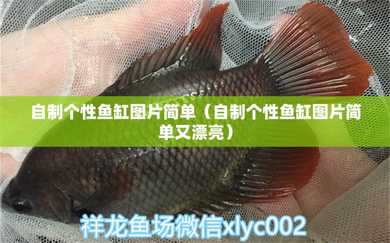 自制個(gè)性魚缸圖片簡單（自制個(gè)性魚缸圖片簡單又漂亮） 潛水艇魚