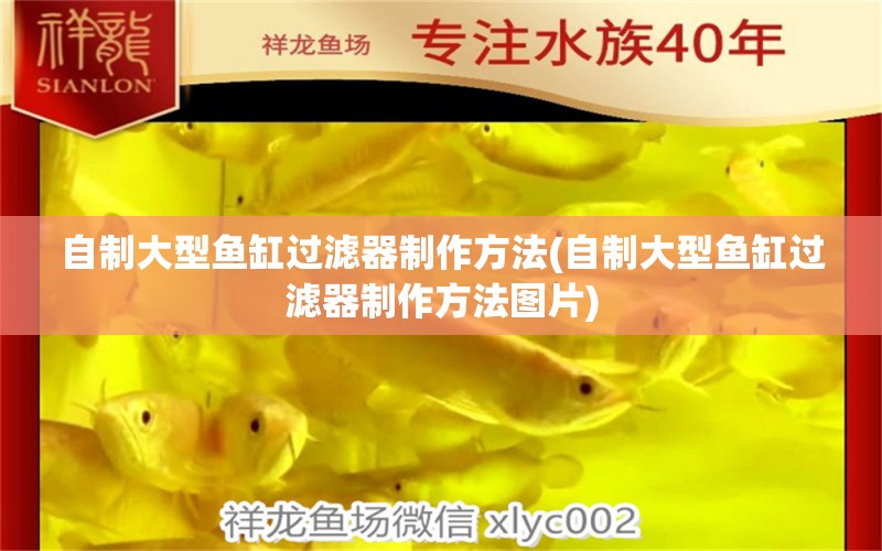 自制大型魚(yú)缸過(guò)濾器制作方法(自制大型魚(yú)缸過(guò)濾器制作方法圖片) 魚(yú)缸水質(zhì)穩(wěn)定劑