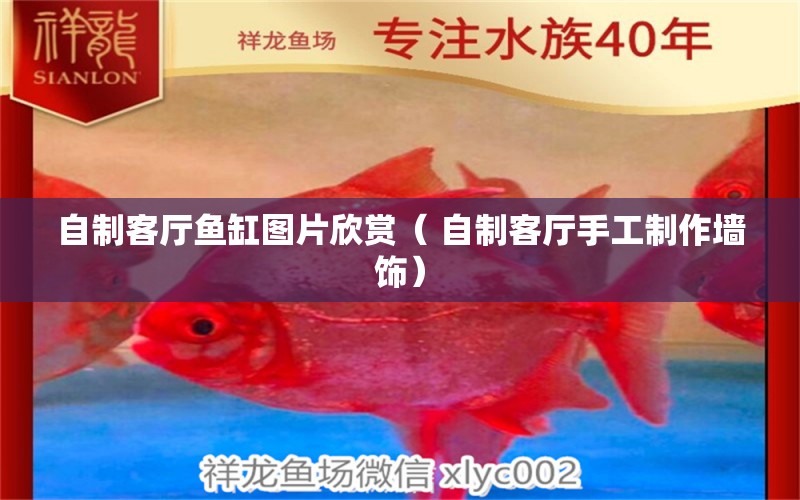 自制客廳魚缸圖片欣賞（ 自制客廳手工制作墻飾） 一眉道人魚苗 第1張