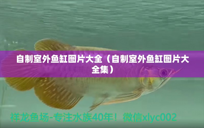 自制室外魚缸圖片大全（自制室外魚缸圖片大全集）