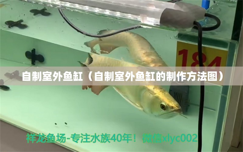 自制室外魚缸（自制室外魚缸的制作方法圖）