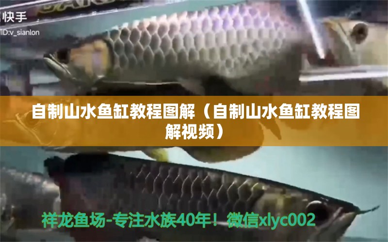 自制山水魚缸教程圖解（自制山水魚缸教程圖解視頻） 祥龍水族醫(yī)院