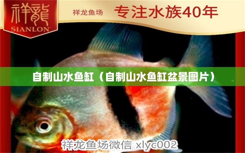 自制山水魚缸（自制山水魚缸盆景圖片）