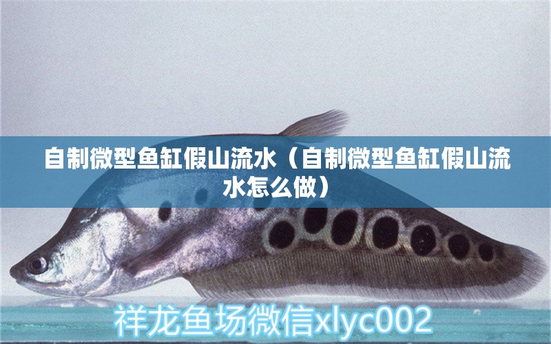 自制微型魚缸假山流水（自制微型魚缸假山流水怎么做）