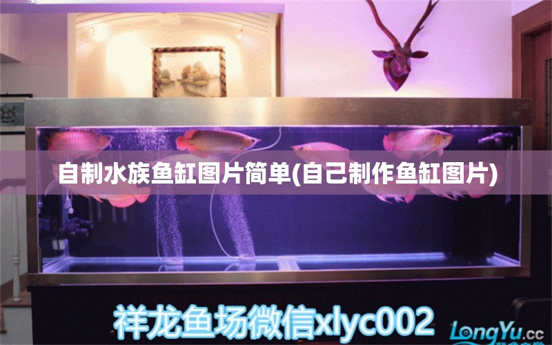 自制水族魚缸圖片簡單(自己制作魚缸圖片) 福魟魟魚