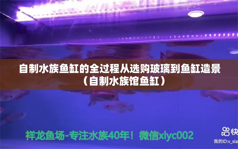 自制水族魚缸的全過程從選購玻璃到魚缸造景（自制水族館魚缸） 觀賞魚市場（混養(yǎng)魚）