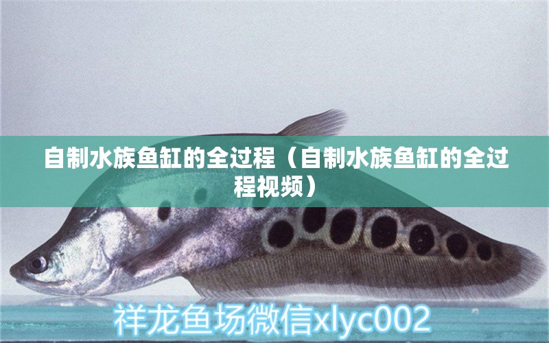 自制水族魚(yú)缸的全過(guò)程（自制水族魚(yú)缸的全過(guò)程視頻）