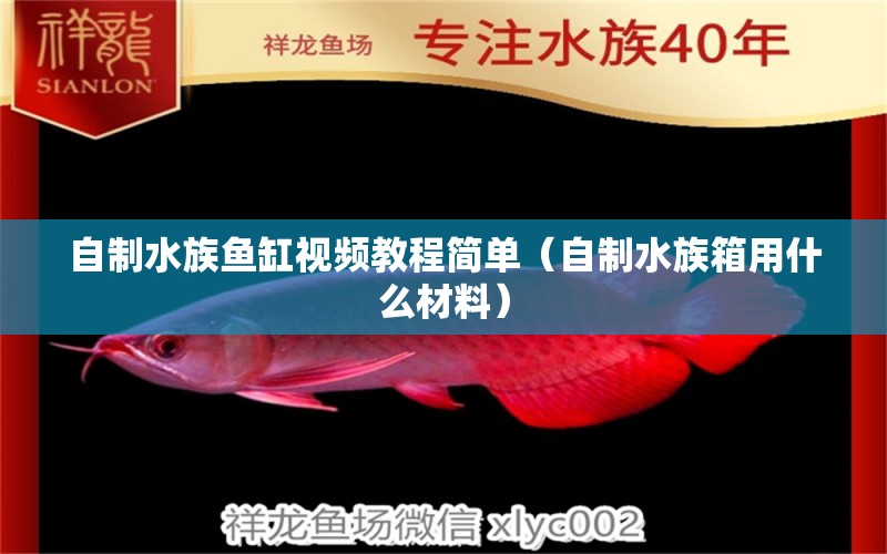 自制水族魚缸視頻教程簡單（自制水族箱用什么材料） 魚缸/水族箱