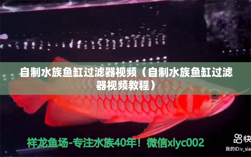 自制水族魚缸過濾器視頻（自制水族魚缸過濾器視頻教程）