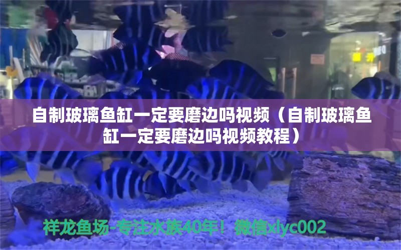 自制玻璃魚缸一定要磨邊嗎視頻（自制玻璃魚缸一定要磨邊嗎視頻教程）