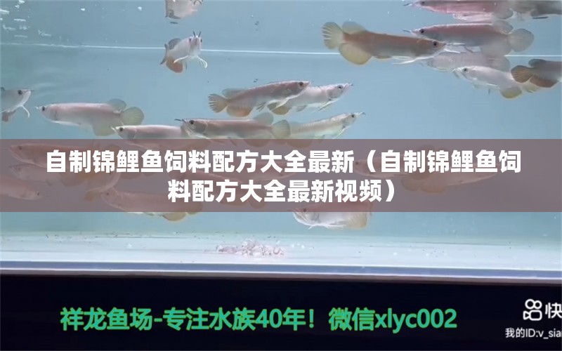 自制錦鯉魚飼料配方大全最新（自制錦鯉魚飼料配方大全最新視頻）