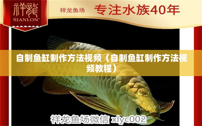 自制魚缸制作方法視頻（自制魚缸制作方法視頻教程）