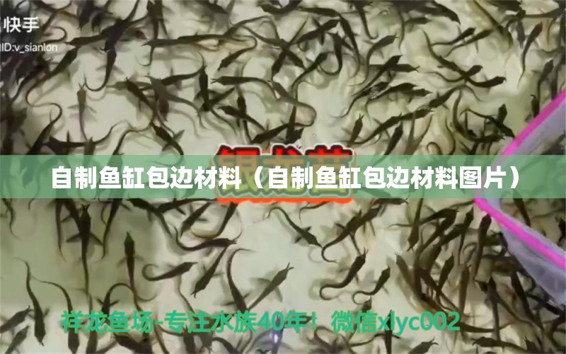 自制魚缸包邊材料（自制魚缸包邊材料圖片） 檸檬鯽