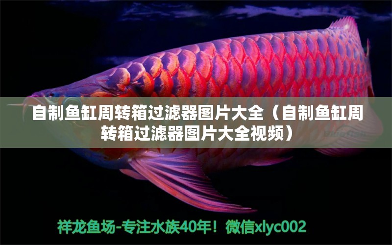 自制魚缸周轉(zhuǎn)箱過濾器圖片大全（自制魚缸周轉(zhuǎn)箱過濾器圖片大全視頻） 其他品牌魚缸