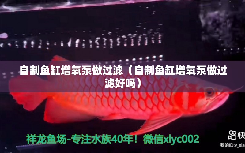 自制魚缸增氧泵做過濾（自制魚缸增氧泵做過濾好嗎） 生態(tài)瓶/創(chuàng)意缸/桌面微景缸