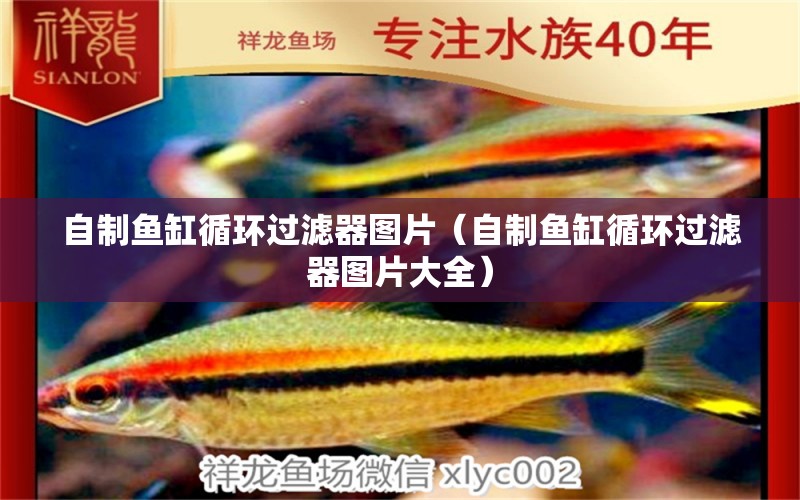 自制魚缸循環(huán)過濾器圖片（自制魚缸循環(huán)過濾器圖片大全）