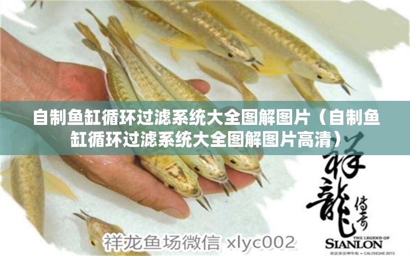 自制魚(yú)缸循環(huán)過(guò)濾系統(tǒng)大全圖解圖片（自制魚(yú)缸循環(huán)過(guò)濾系統(tǒng)大全圖解圖片高清）