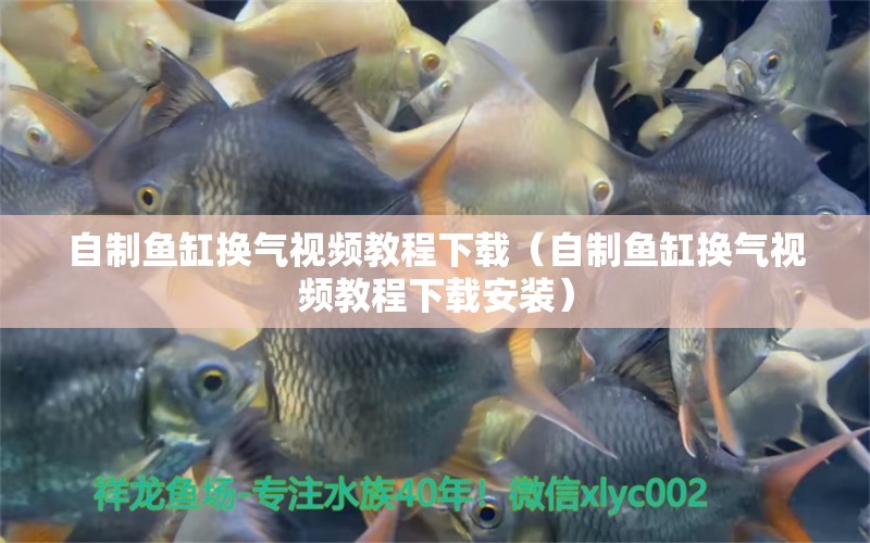 自制魚缸換氣視頻教程下載（自制魚缸換氣視頻教程下載安裝）