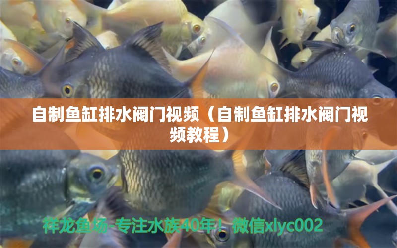 自制魚缸排水閥門視頻（自制魚缸排水閥門視頻教程）